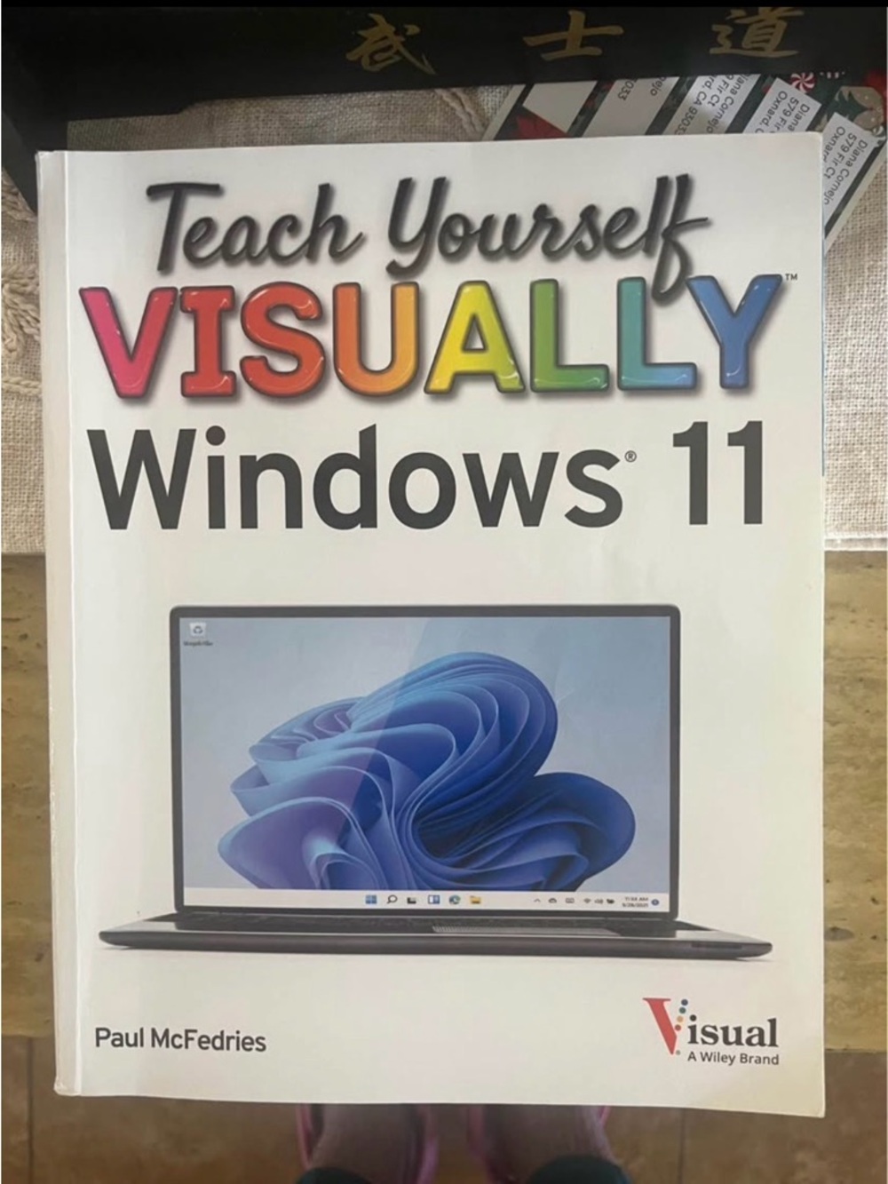Teach Yourself VISUALLY Windows 11 Book